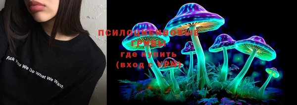 молекула духа Верхний Тагил