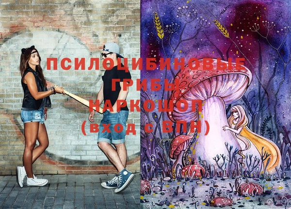 молекула духа Верхний Тагил