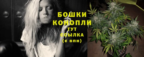 молекула духа Верхний Тагил